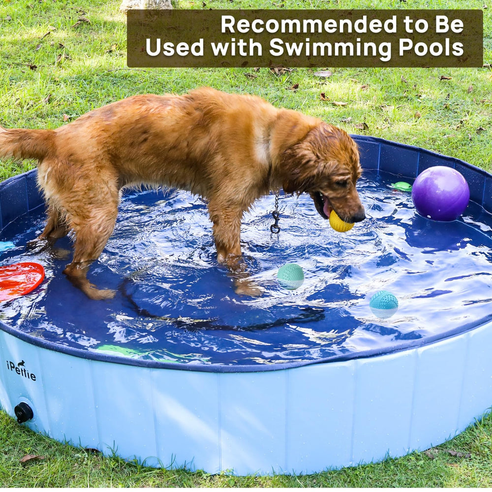 ipettie colorful floating ball enhances visibility during water fetch.