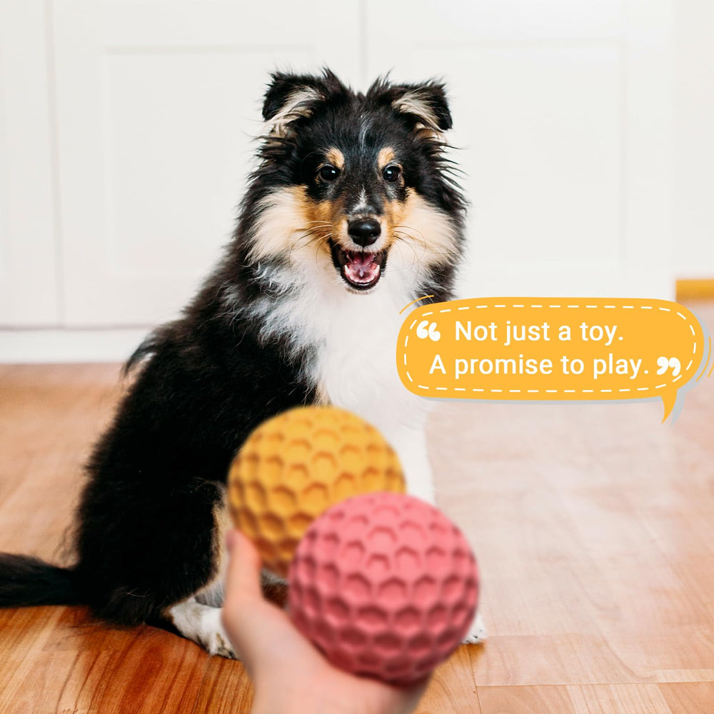 iPettie four-pack honeycomb toys for active medium and large dogs.