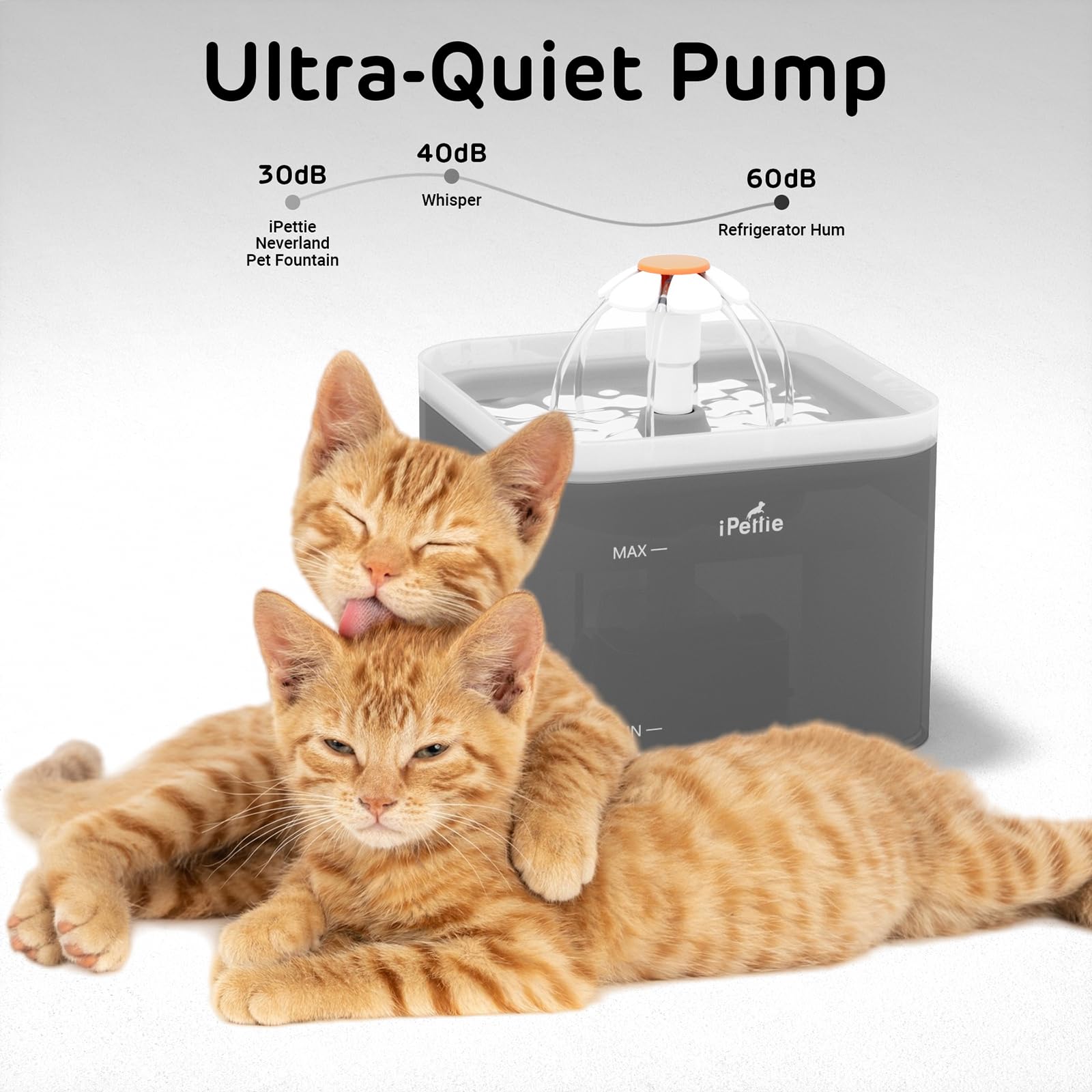 iPettie Neverland ultra-quiet pump supports a peaceful home environment