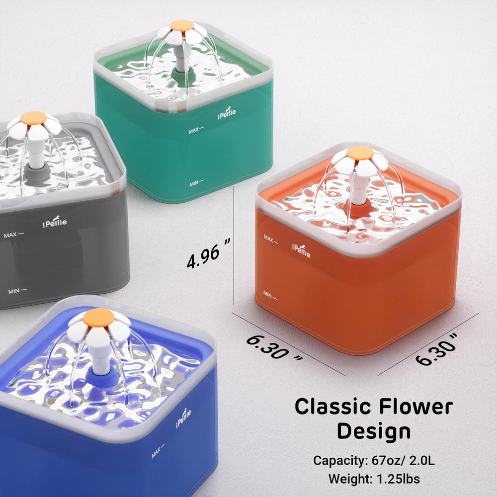 iPettie Neverland filter-accessible setup enables easy refreshment
