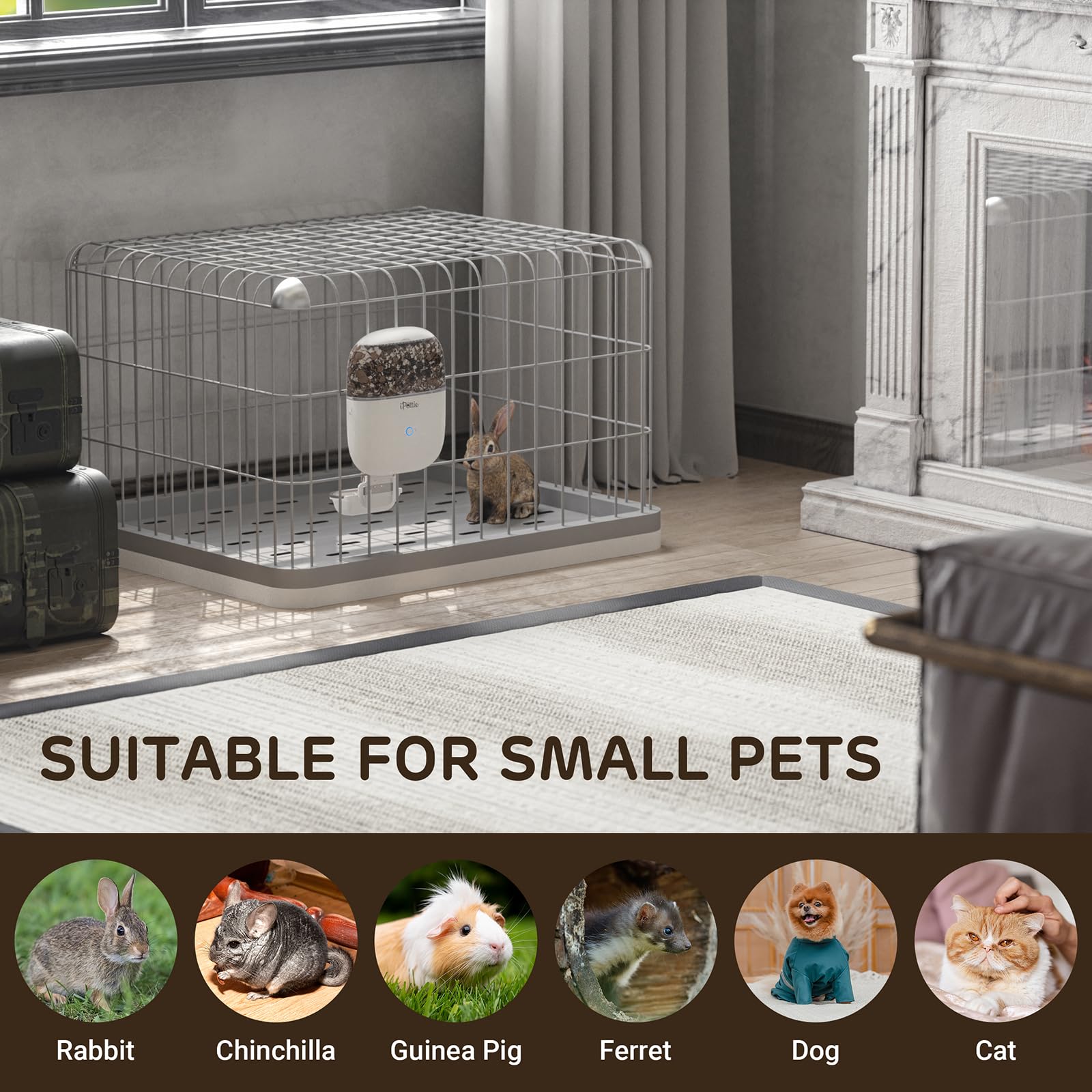iPettie feeder supports 5–30mm dry foods including pellets.
