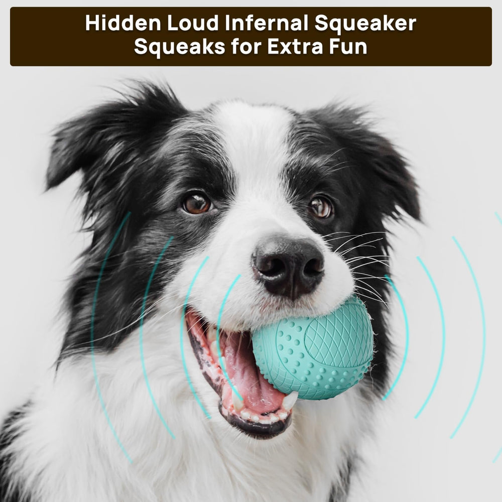 ipettie squeaky 2.5-inch dog ball for baths and pools.