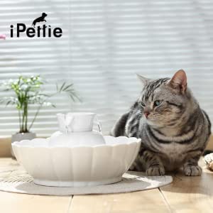 Sealed packaging of iPettie filters ensures safe, ready-to-use filtration