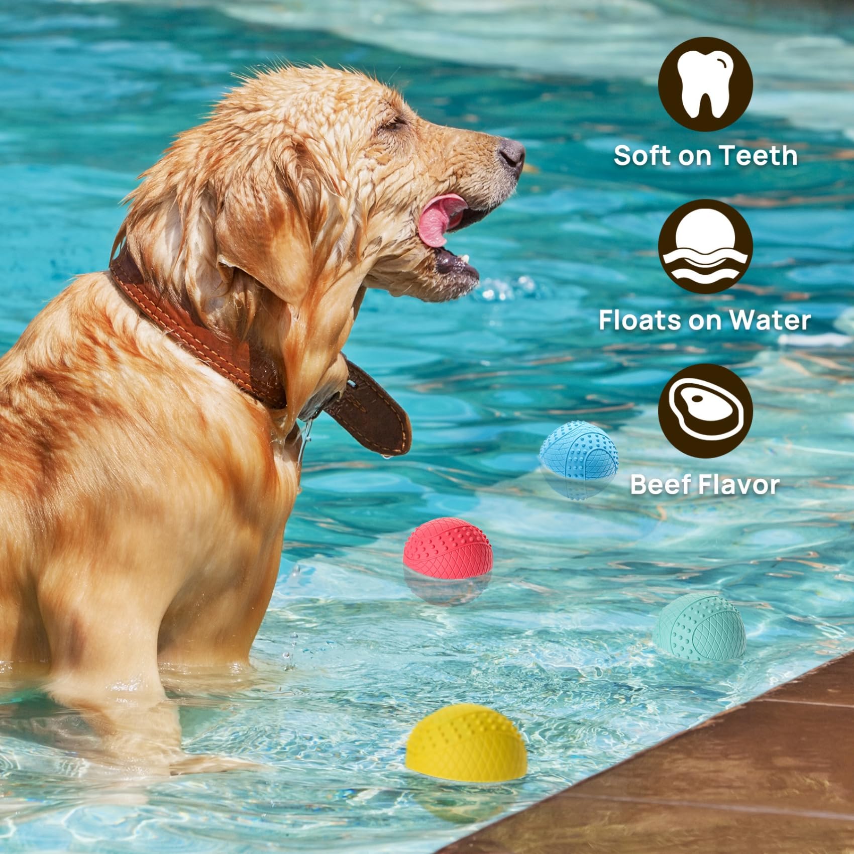 ipettie waterproof rubber dog ball with squeaker for play.