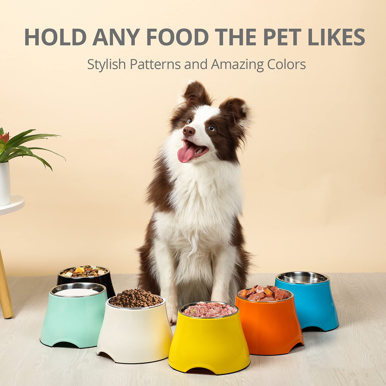 Large-capacity elevated bowls designed for big dog meals