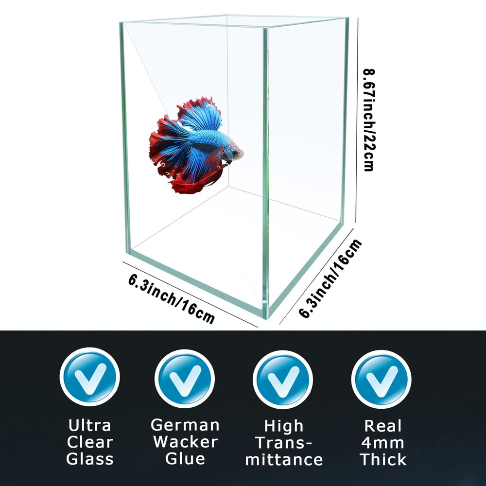 ipriro Betta aquarium with LED light highlights colors for a bright display