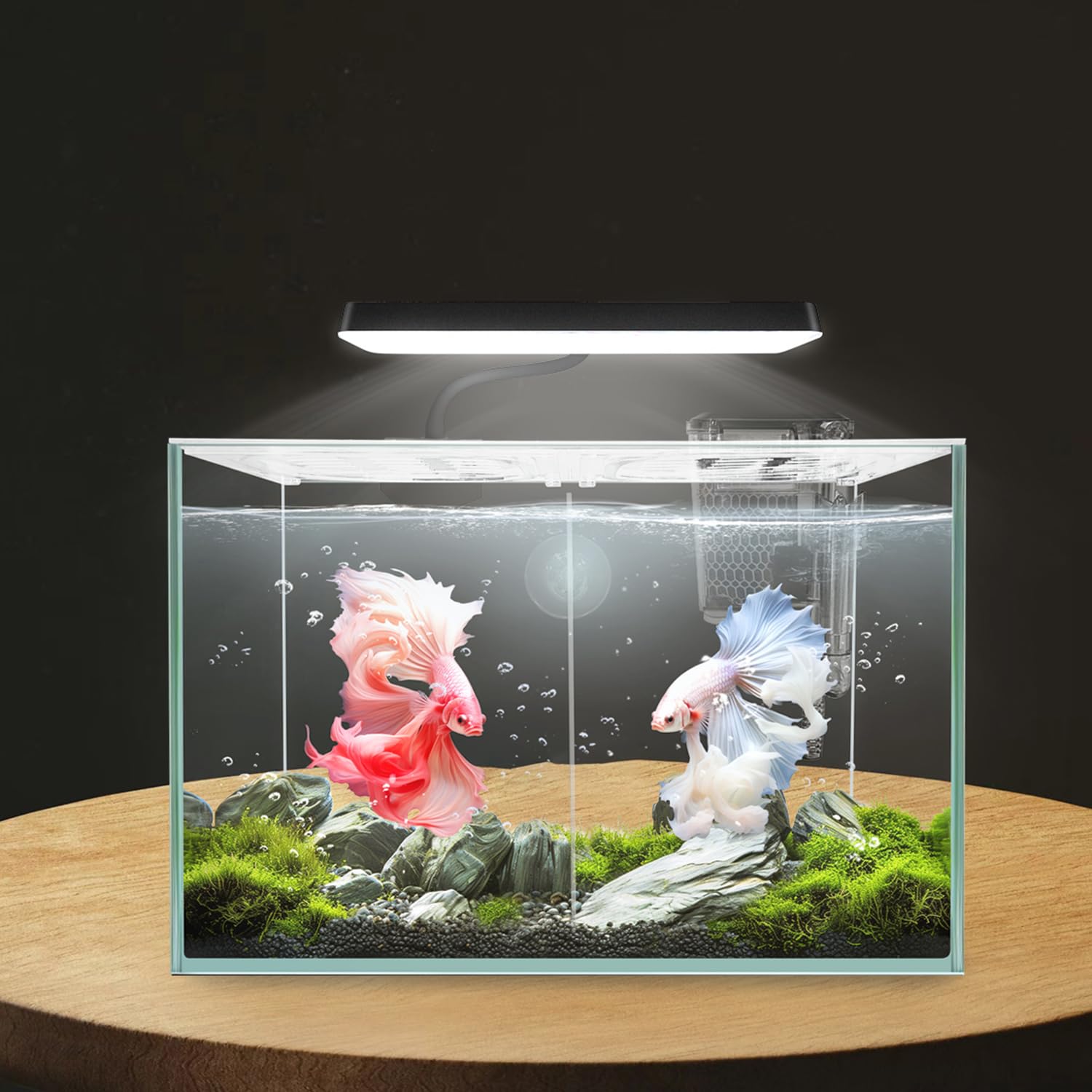 iPriro Betta nano tank EVA cushion base protects during transport.