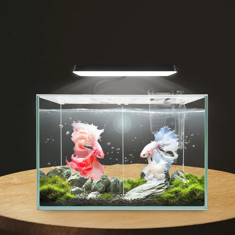 iPriro Betta nano tank EVA cushion base protects during transport.