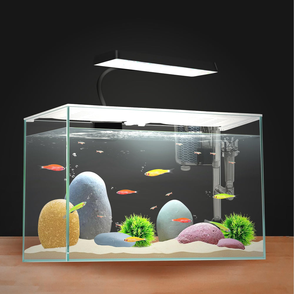 iPriro Betta nano tank packaging presents gift-ready presentation.