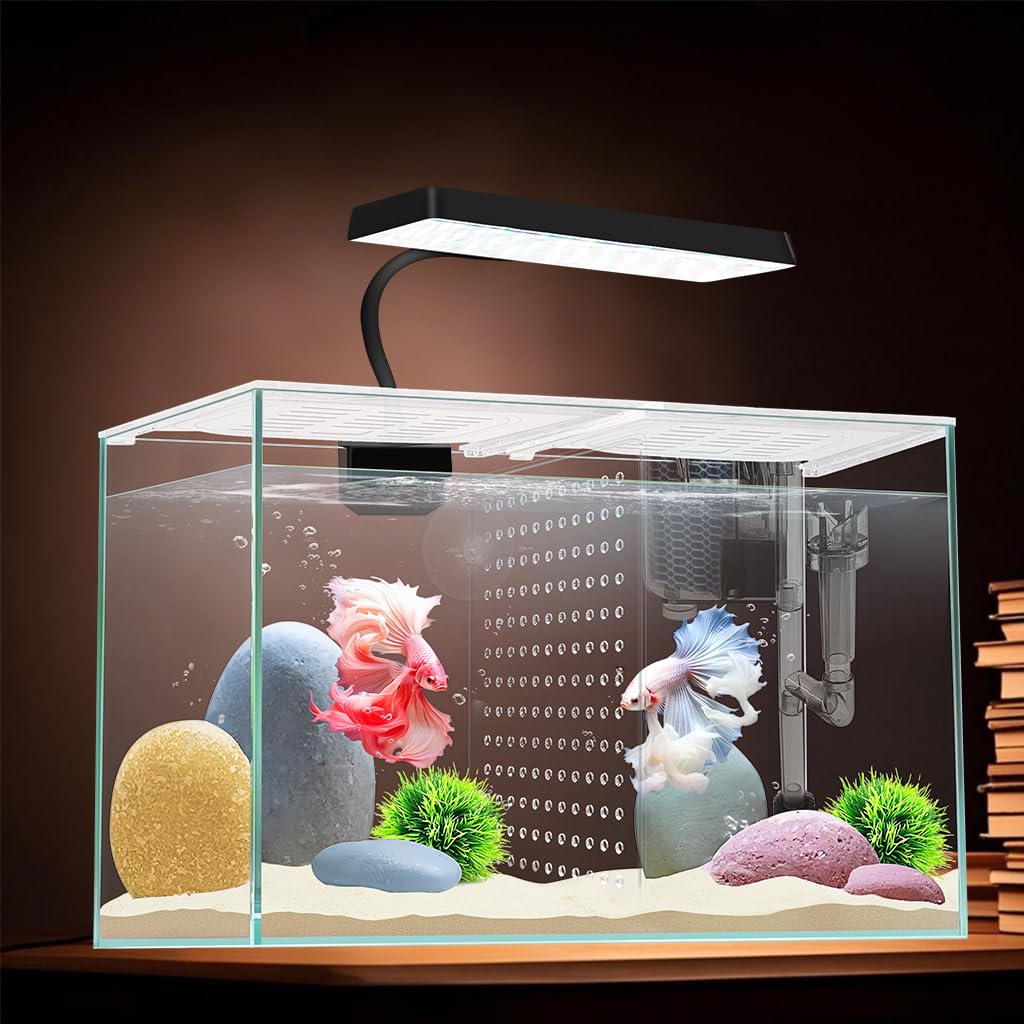 iPriro Betta nano tank wide view highlights compact design for small fish setups.