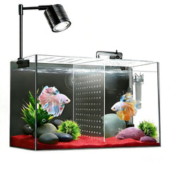 ipriro betta separator plate enables two-bettas setup in a compact tank.