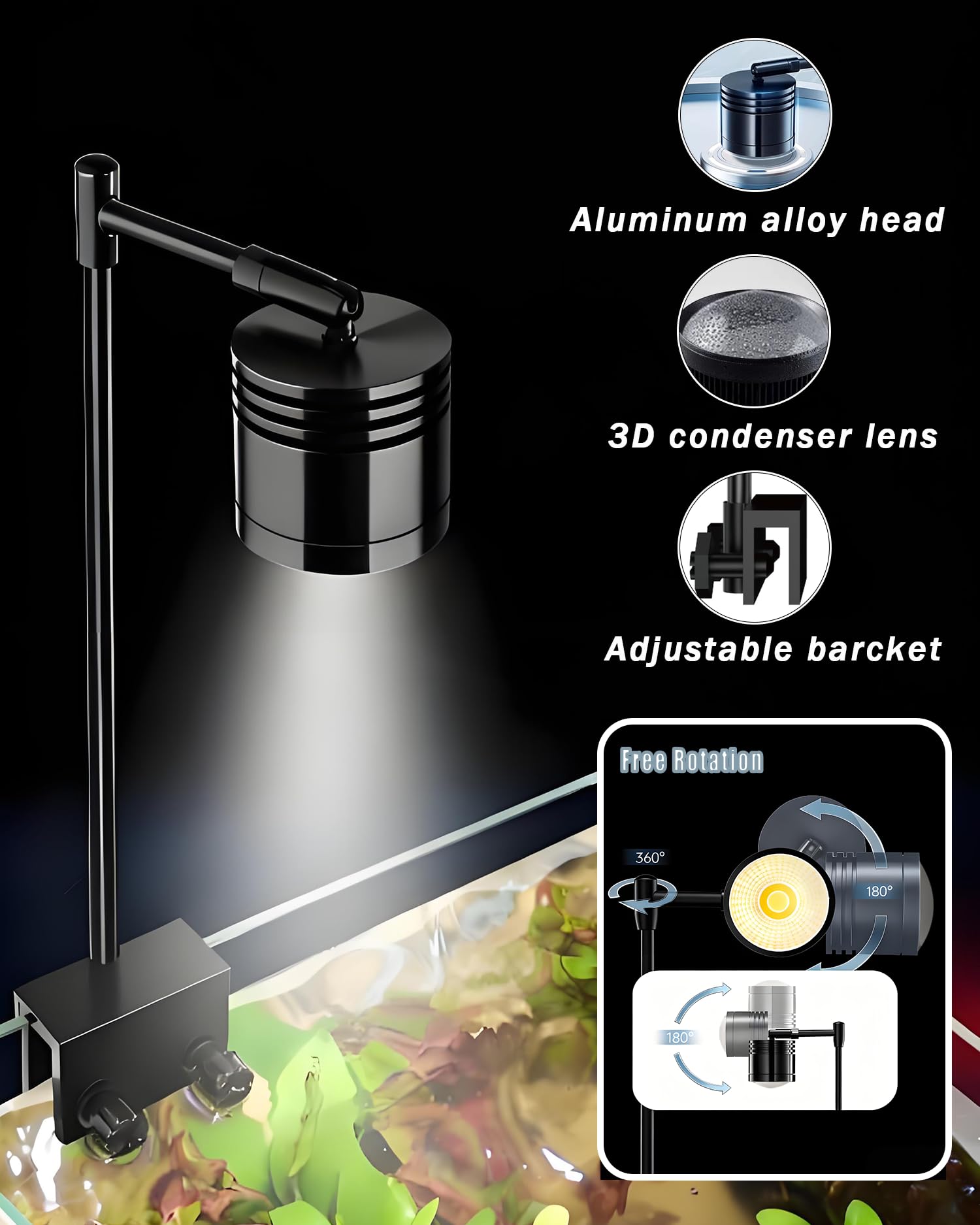 ipriro divider shields help house two Bettas without stress.