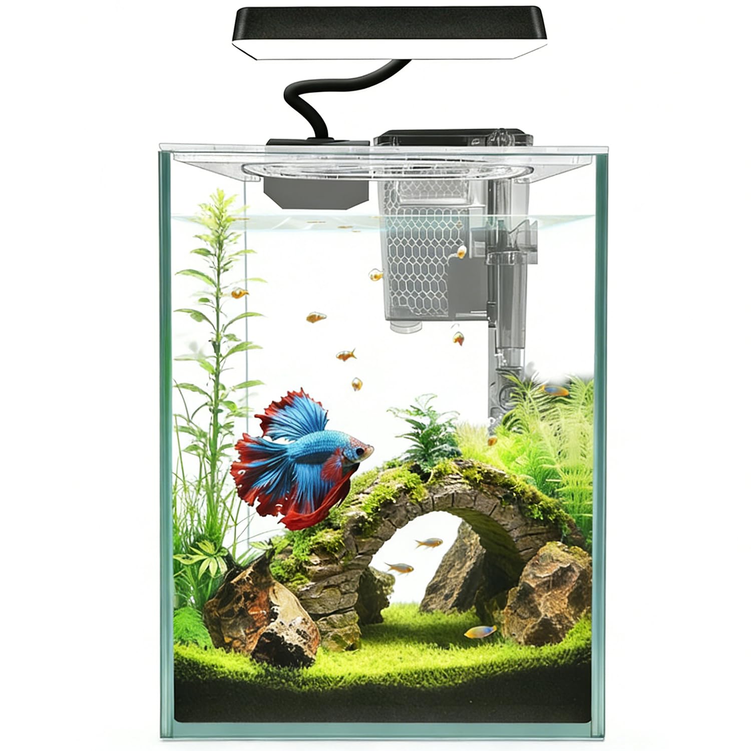 ipriro Full-spectrum LED promotes clear viewing and plant-friendly growth