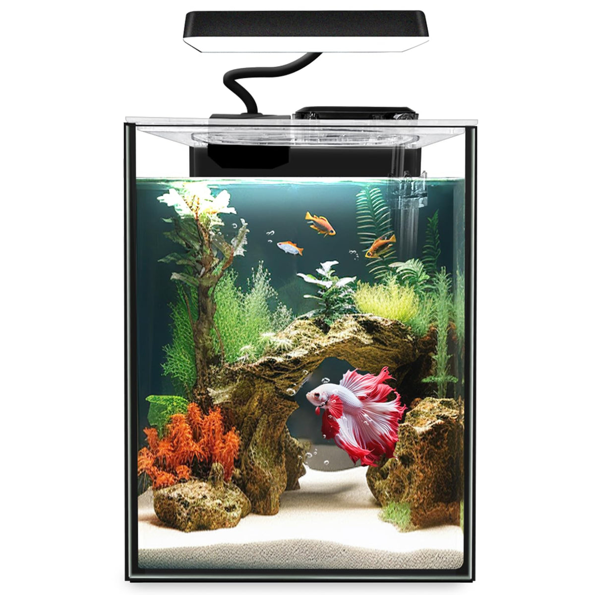 iPriro Glass Betta Aquarium Starter 1.5 Gal shows compact design for small spaces