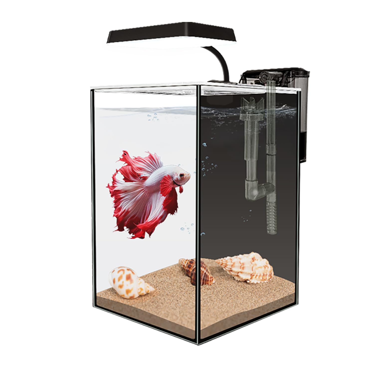 iPriro Mini aquarium art display enhances living spaces with style