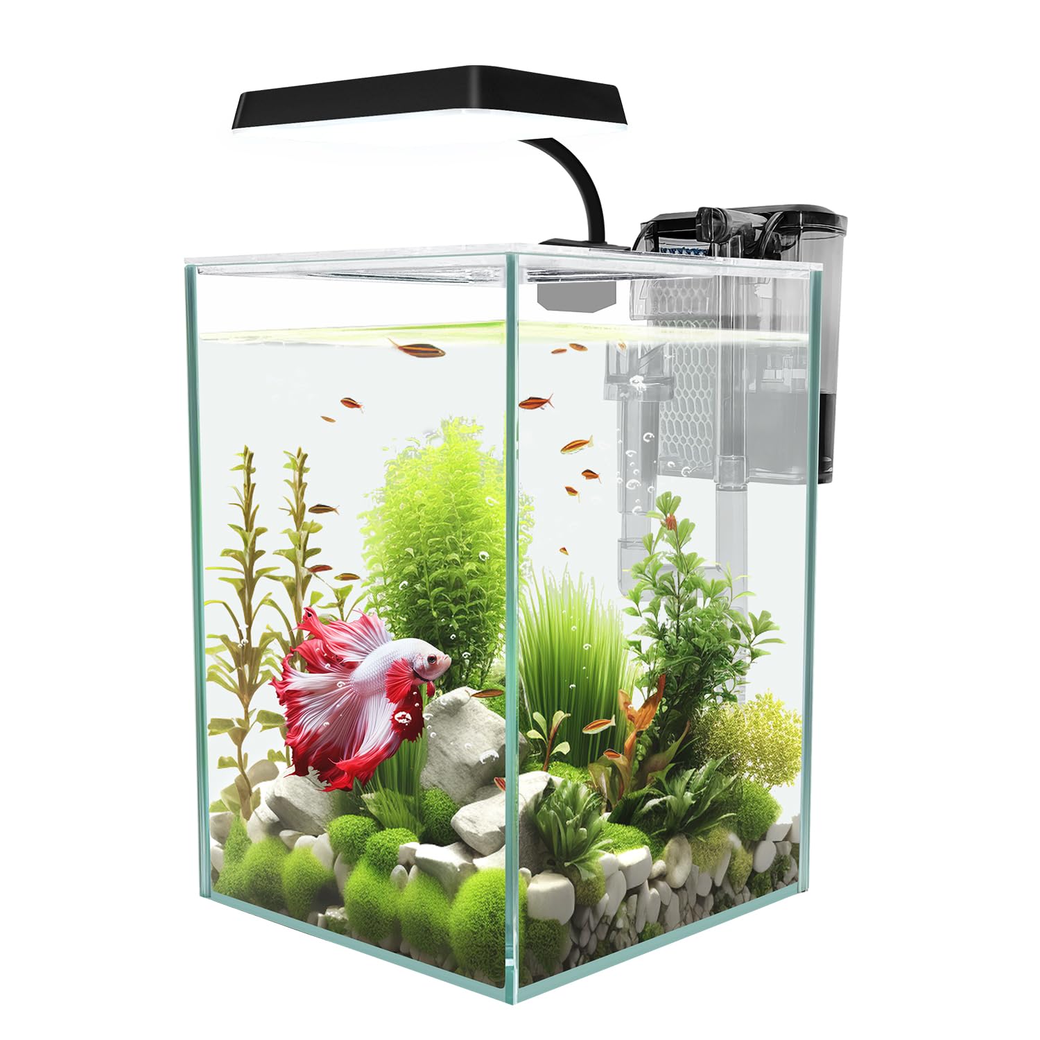 ipriro Packaging and manual ensure confident setup and handling