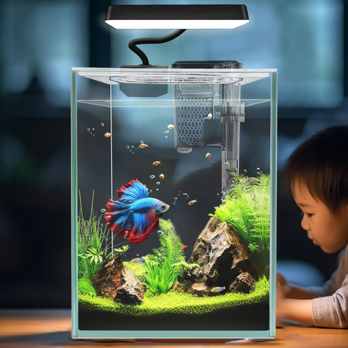 ipriro Ultra White Glass Betta Aquarium 1.5 gallon shows clean lines and space-saving design