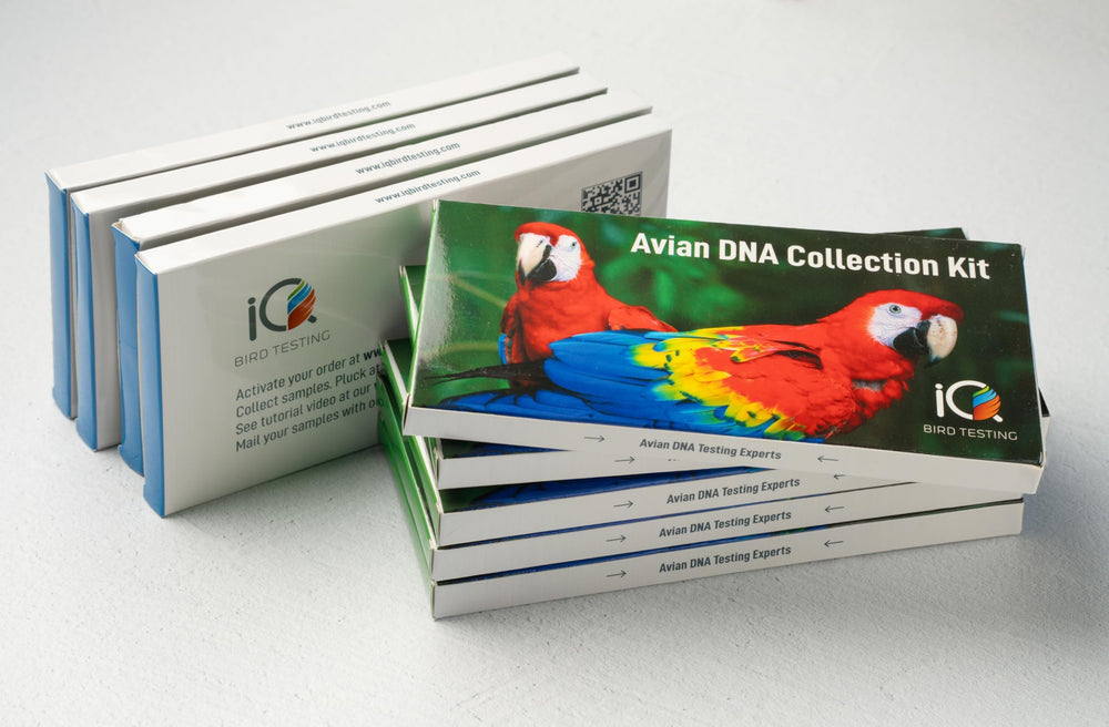 IQ BIRD TESTING kit package for easy setup