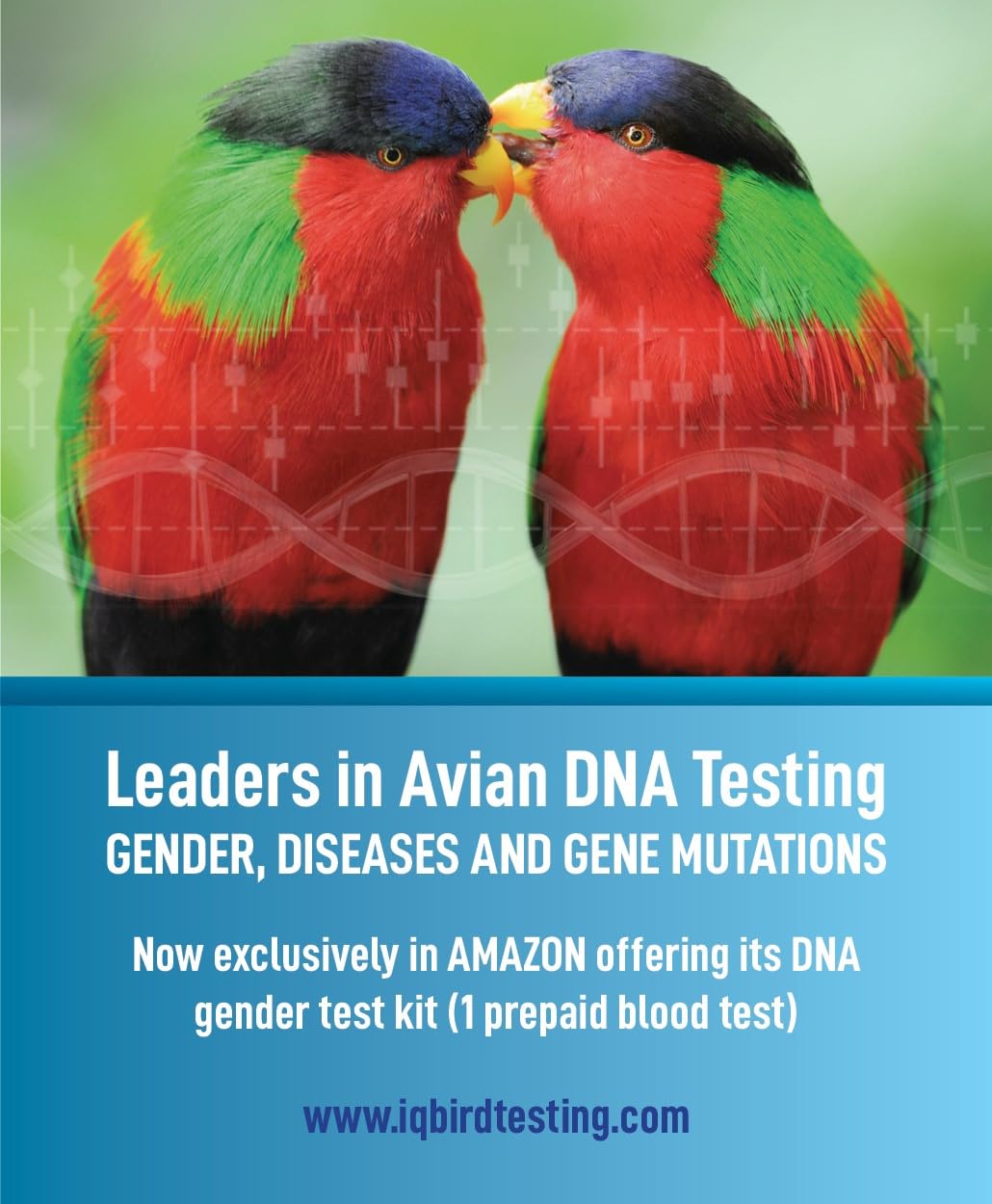 IQ BIRD TESTING tools: tweezers, gloves, nail cutter