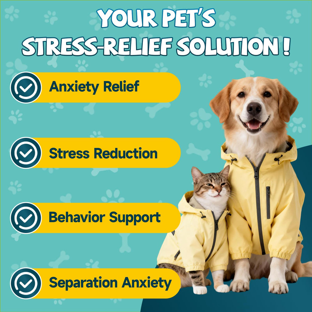Cozy scene with a relaxed cat and IRALUN calming drops.