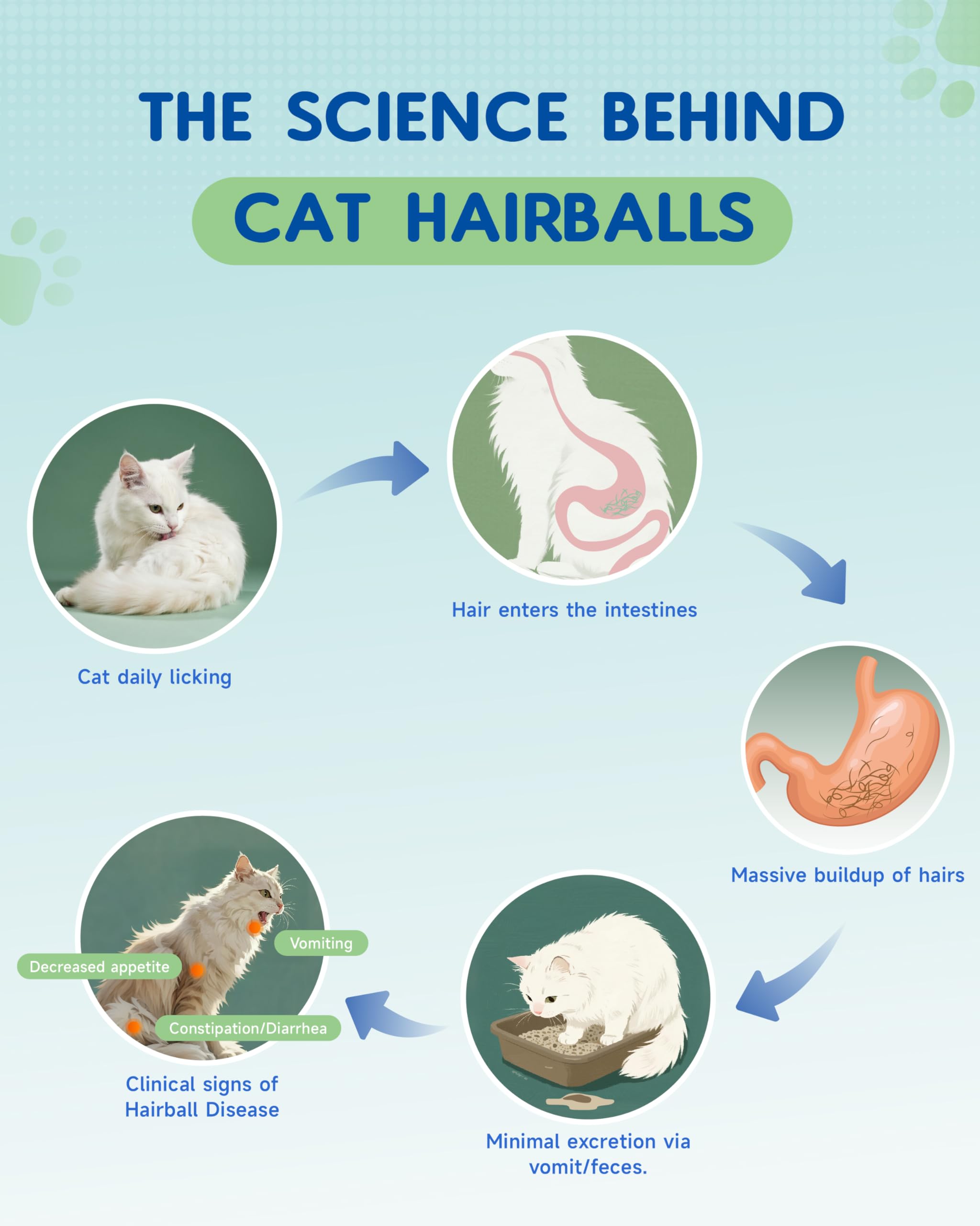 IRALUN Roasted chicken flavor treats indicate tasty, cat-friendly hairball care.