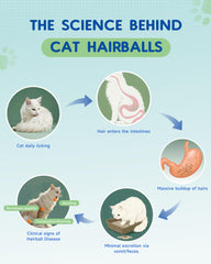 IRALUN Roasted chicken flavor treats indicate tasty, cat-friendly hairball care.