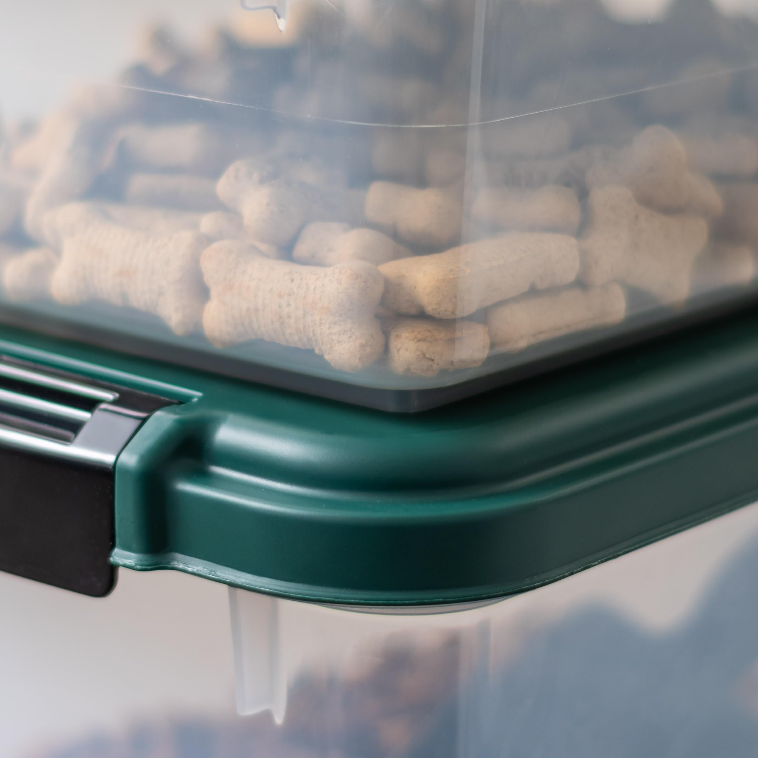 IRIS Remington BPA-free FDA-compliant containers for safe dry foods.
