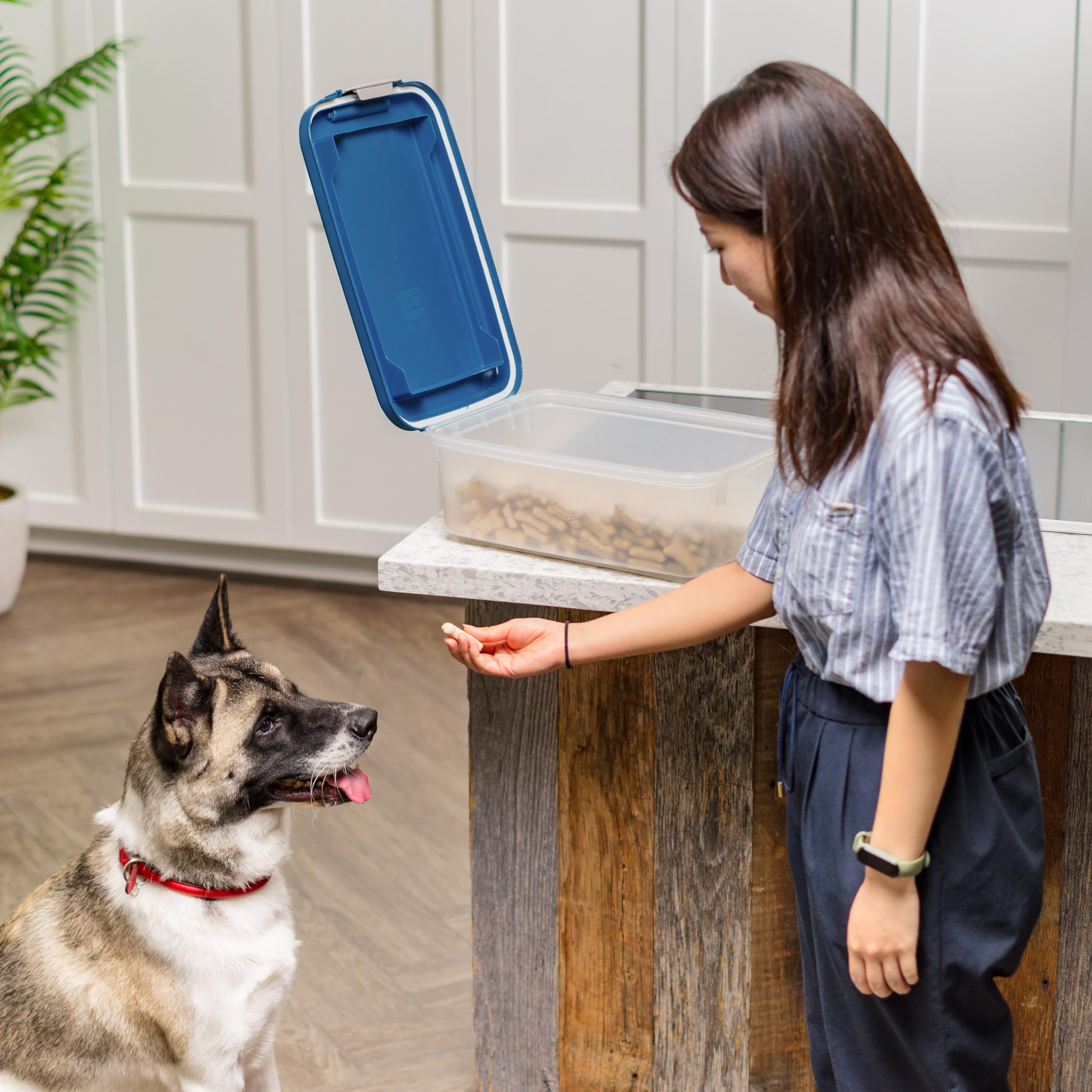 IRIS USA Airtight Pet Food Container clear body allows quick meal level check.