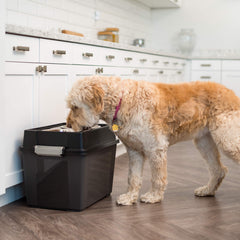 IRIS USA airtight pet-food storage keeps kibble fresh and pest-free.