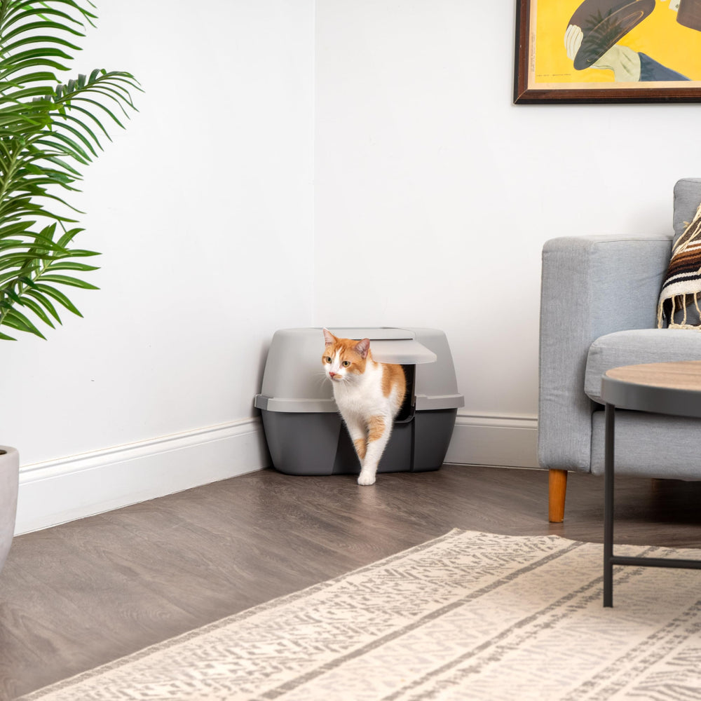 IRIS USA dark gray litter box blends with modern decor.