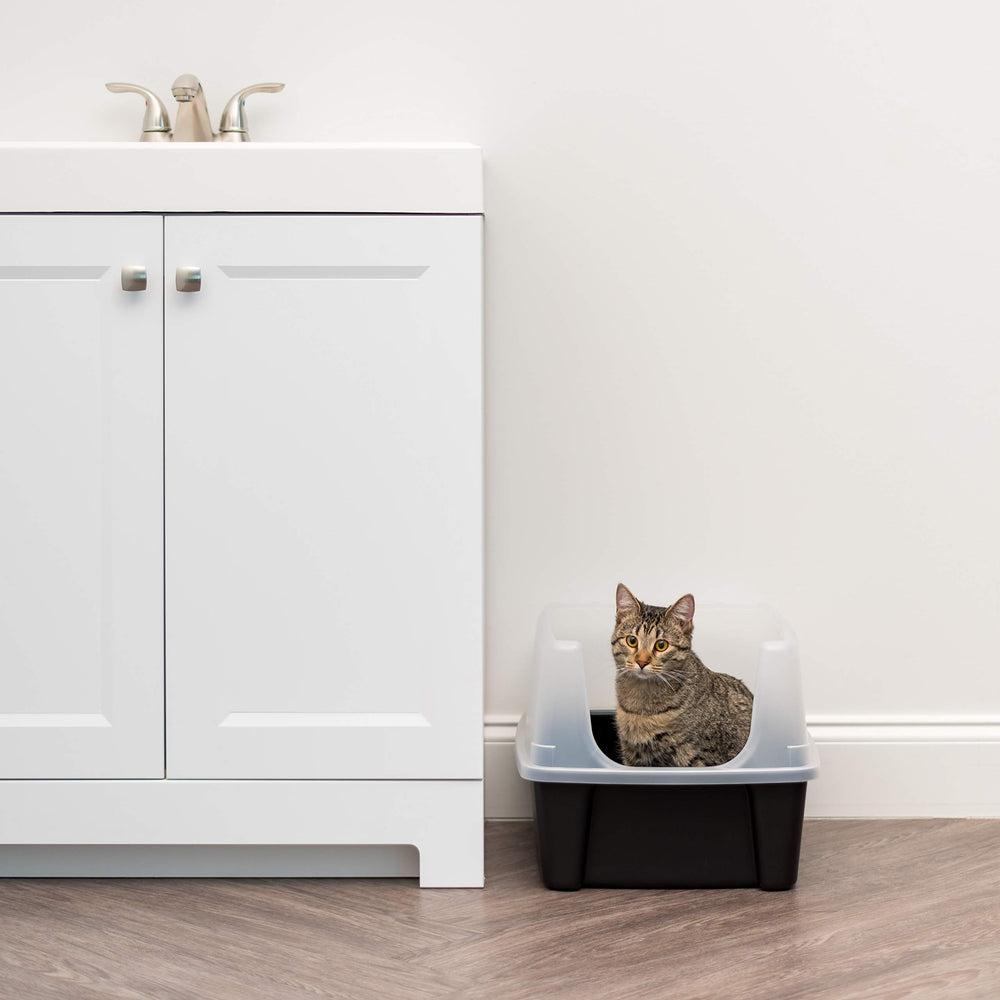 IRIS USA dimensions 19x15x11-75 inches interior space for cats