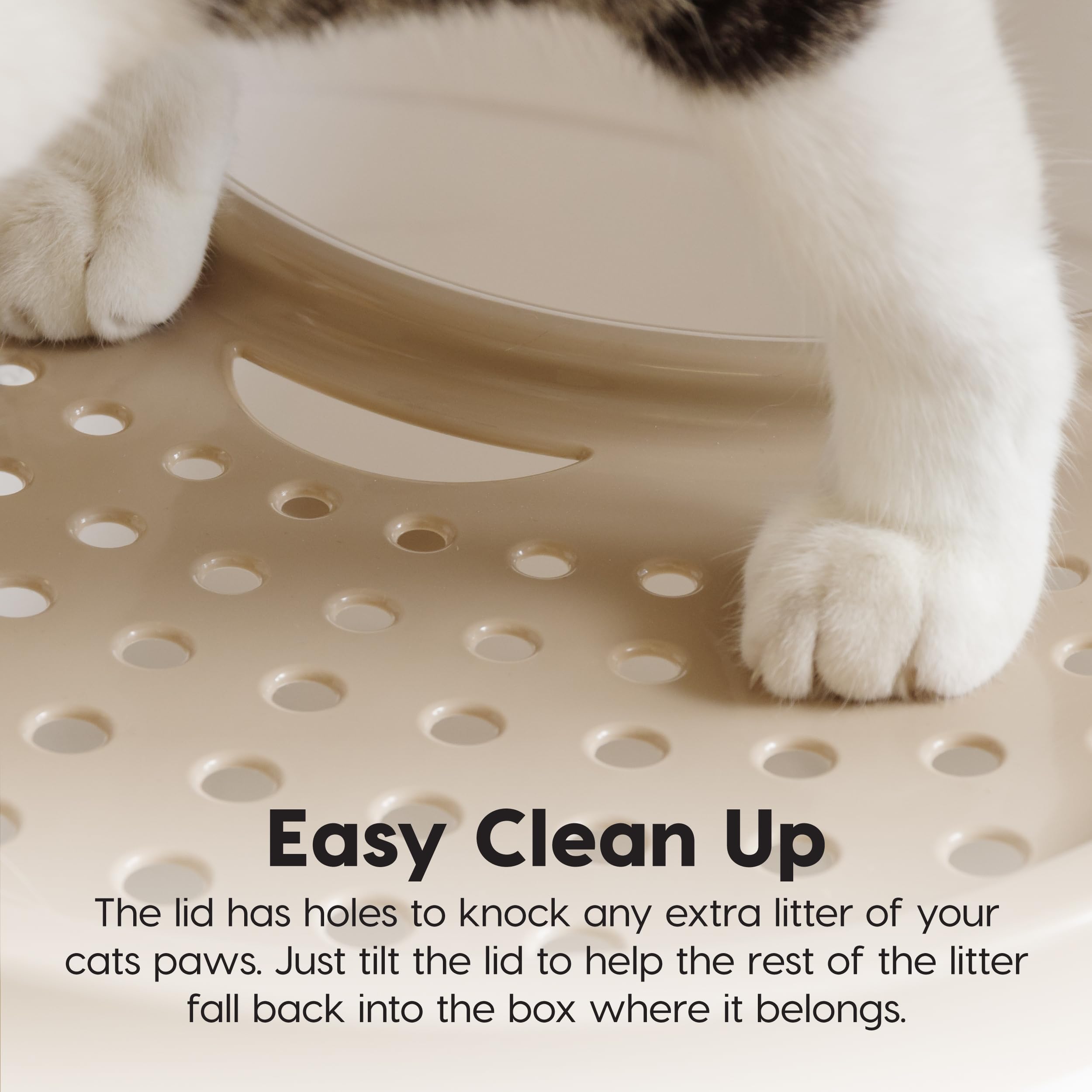 IRIS USA large dimensions offer comfortable space for cats.