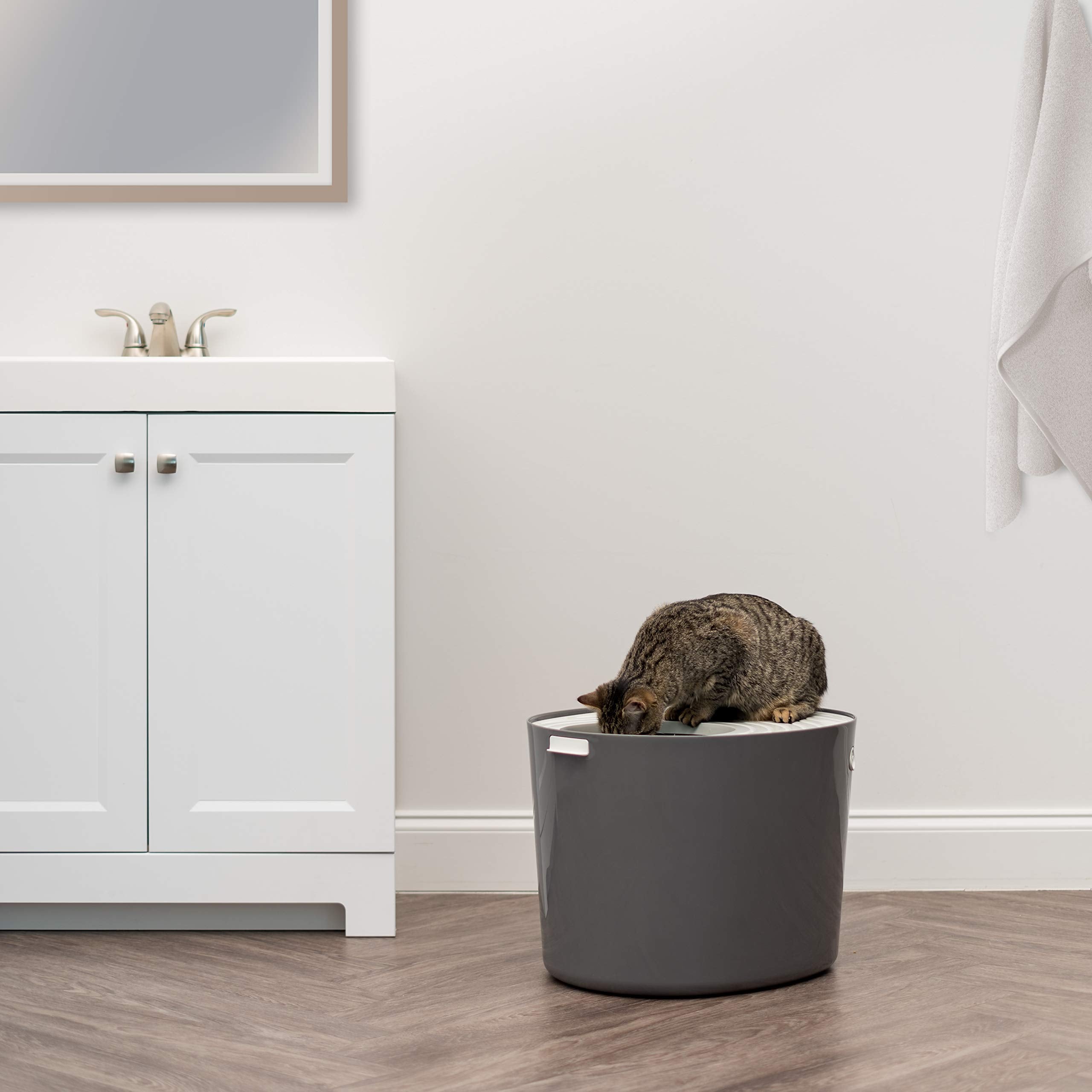 IRIS USA cat litter box shows dimensions for large or multi-cat spaces.