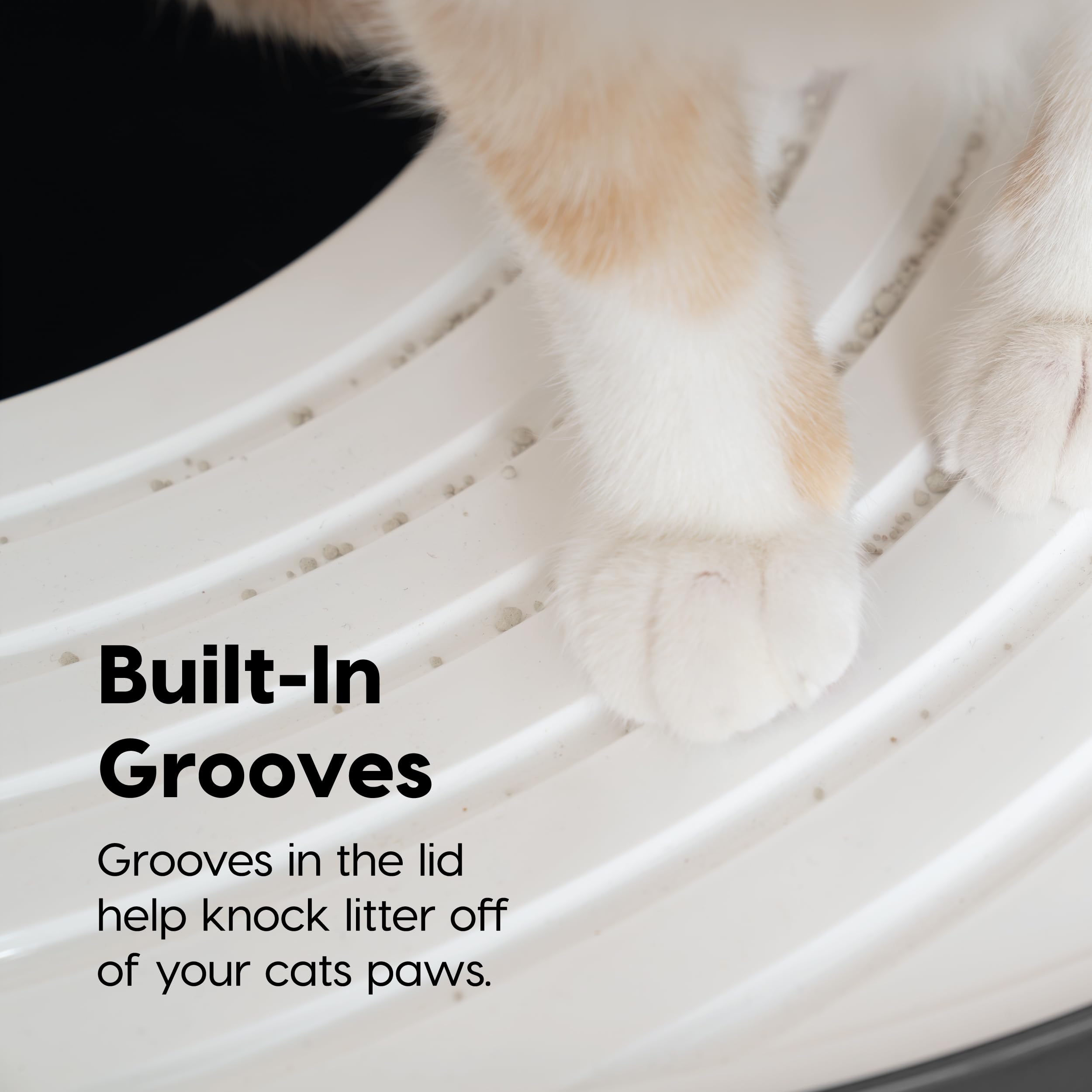 Dog-proof IRIS USA litter box keeps dogs away from the litter area.