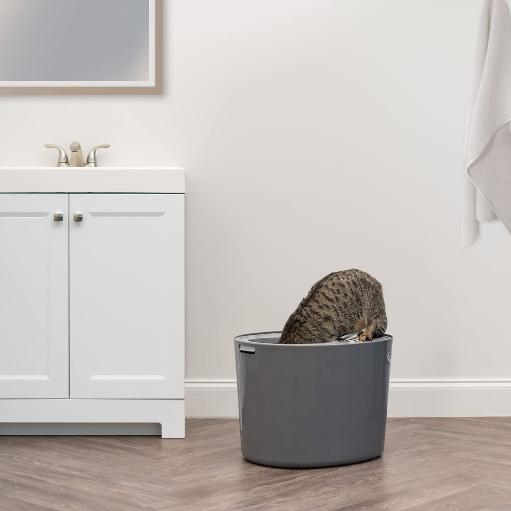 Smooth interior on IRIS USA litter box simplifies cleaning and maintenance.