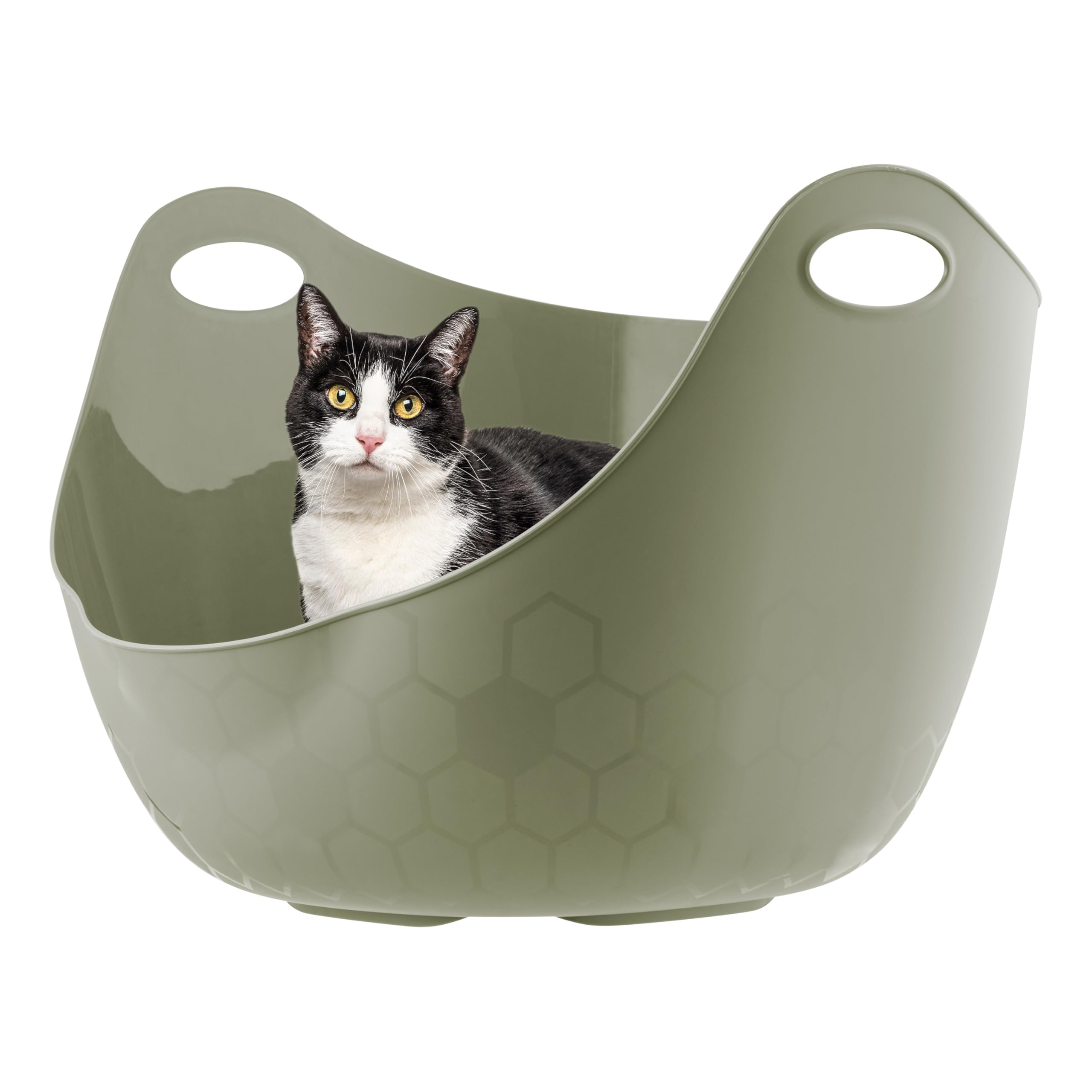 IRIS USA cat litter box with high walls minimizes scatter and messes.