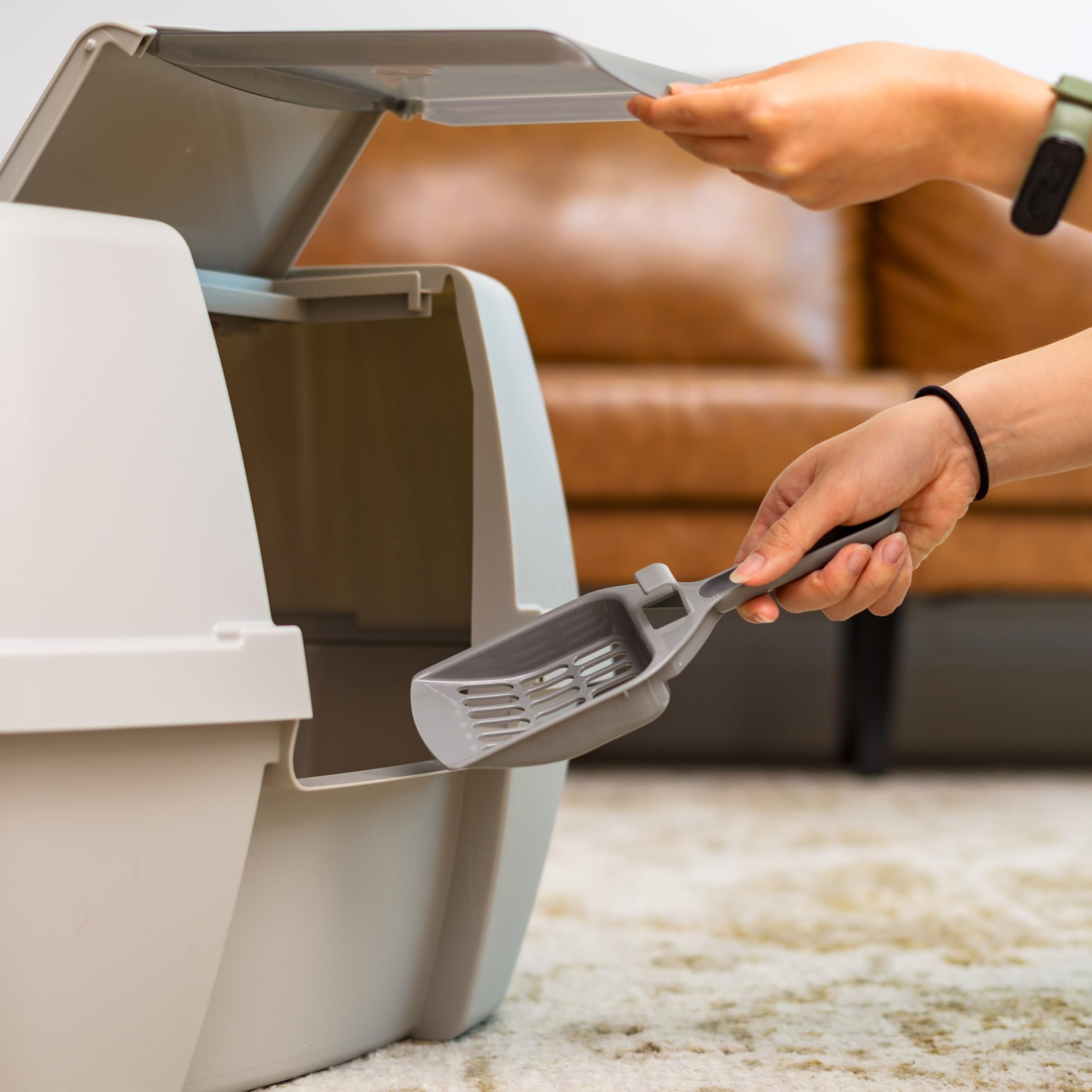 IRIS USA Litter Box great size for kittens to medium cats.