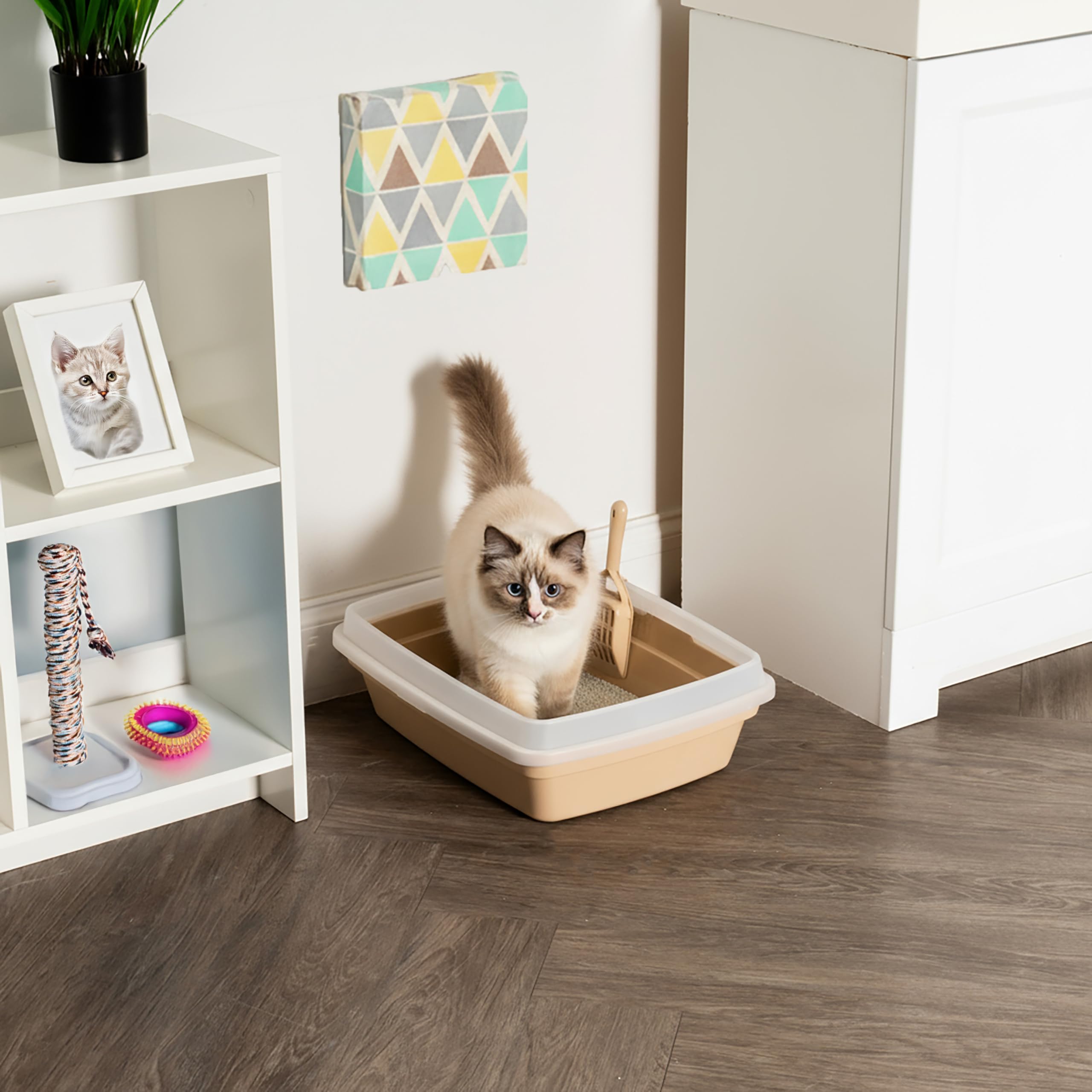IRIS USA Cat Litter Box Low-Entry — simple step-in for small cats.