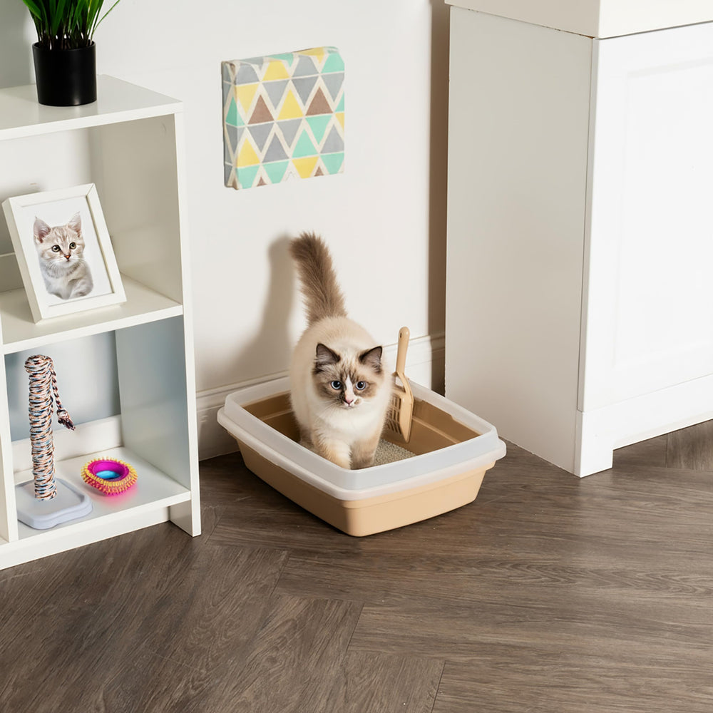 IRIS USA Cat Litter Box Low-Entry — simple step-in for small cats.