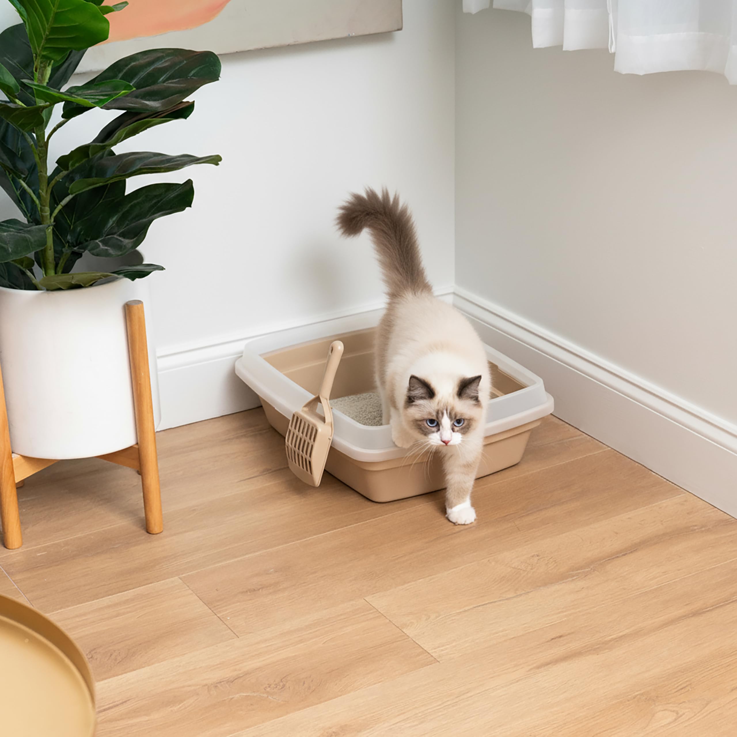 IRIS USA Cat Litter Box Made in USA — durable plastic for everyday use.