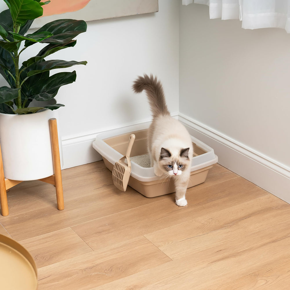 IRIS USA Cat Litter Box Made in USA — durable plastic for everyday use.