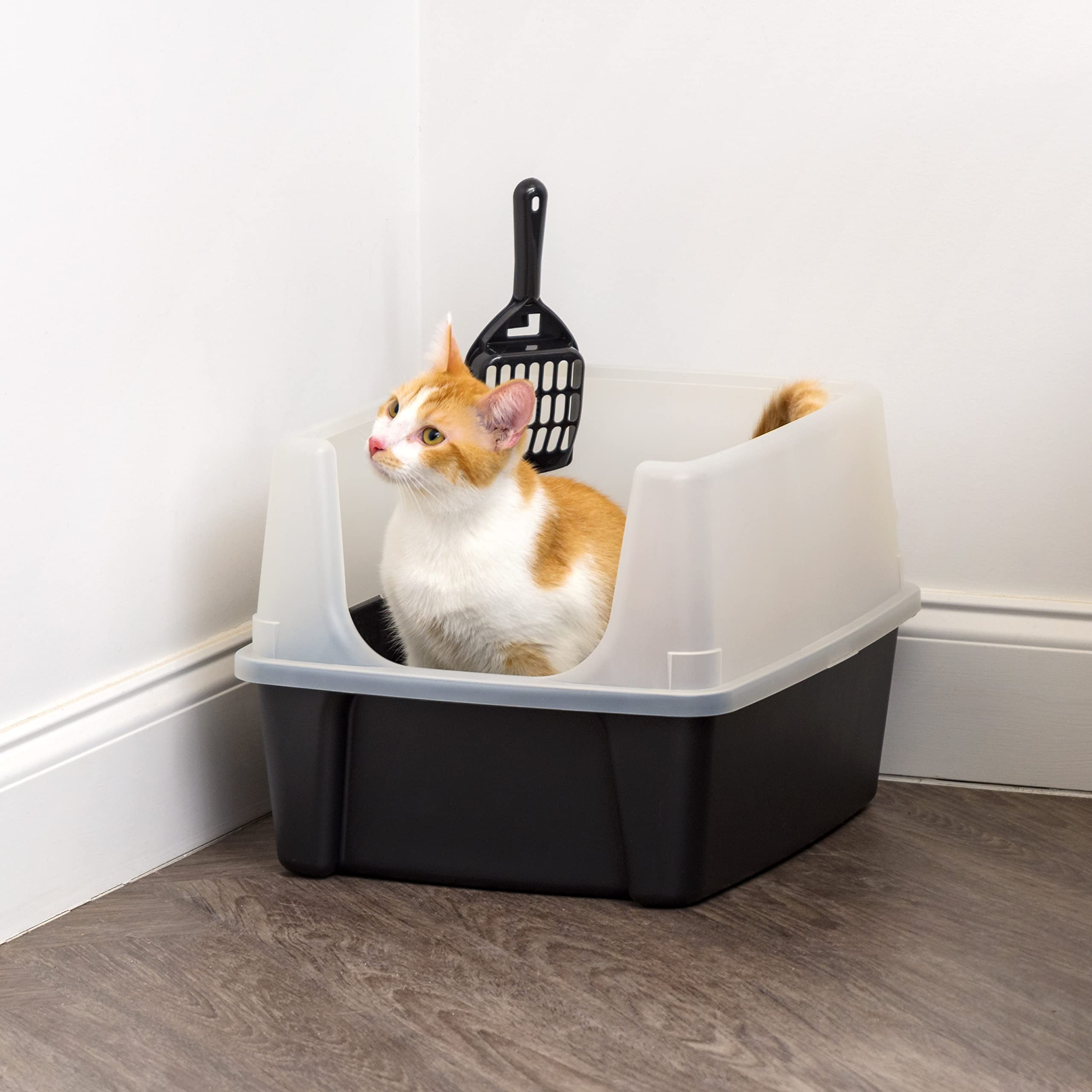 IRIS USA open top litter box front view for monitoring litter