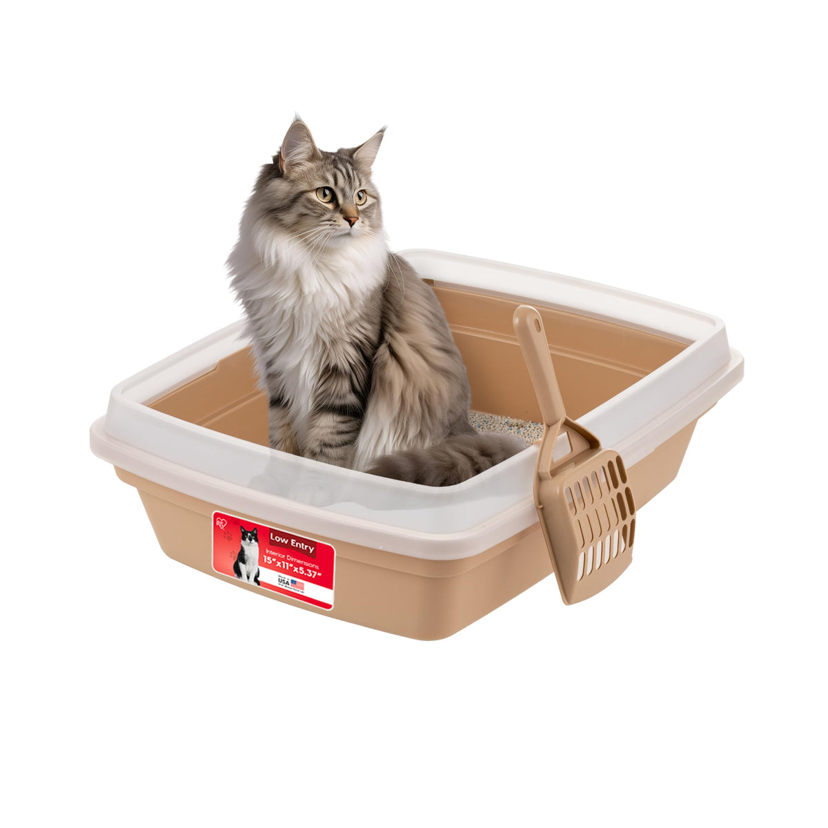 IRIS USA Cat Litter Box Open Top — easy access for kittens and seniors.
