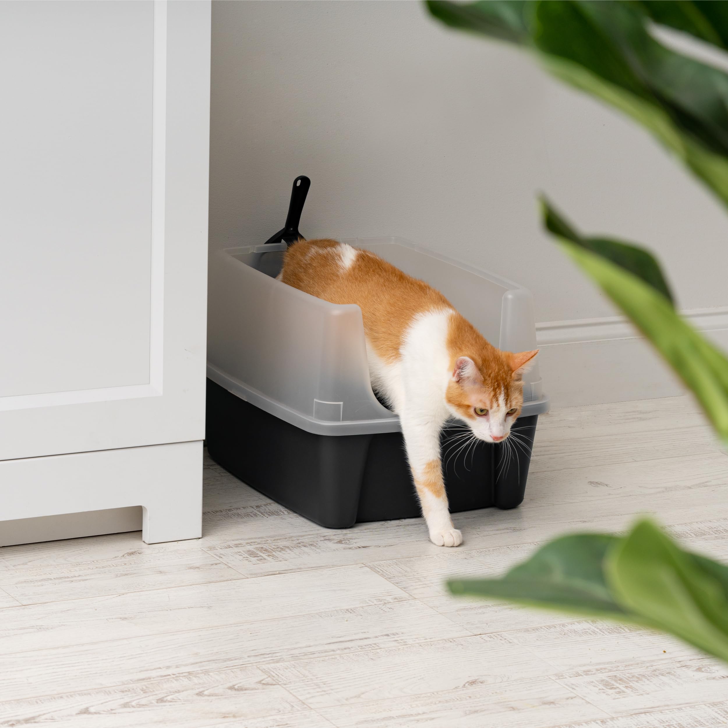 IRIS USA private design litter box with high walls for feline privacy