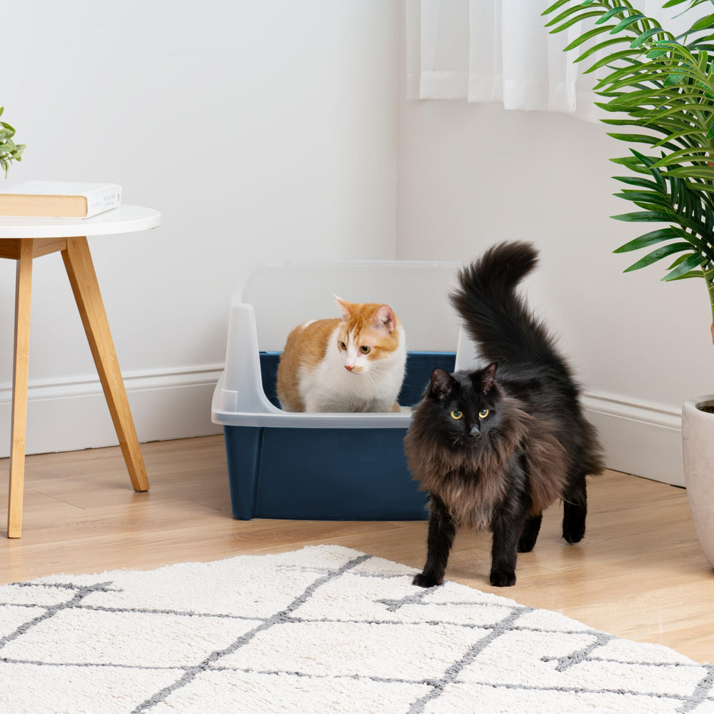 IRIS USA open-top litter box showing curved 6.5-inch entrance for privacy.