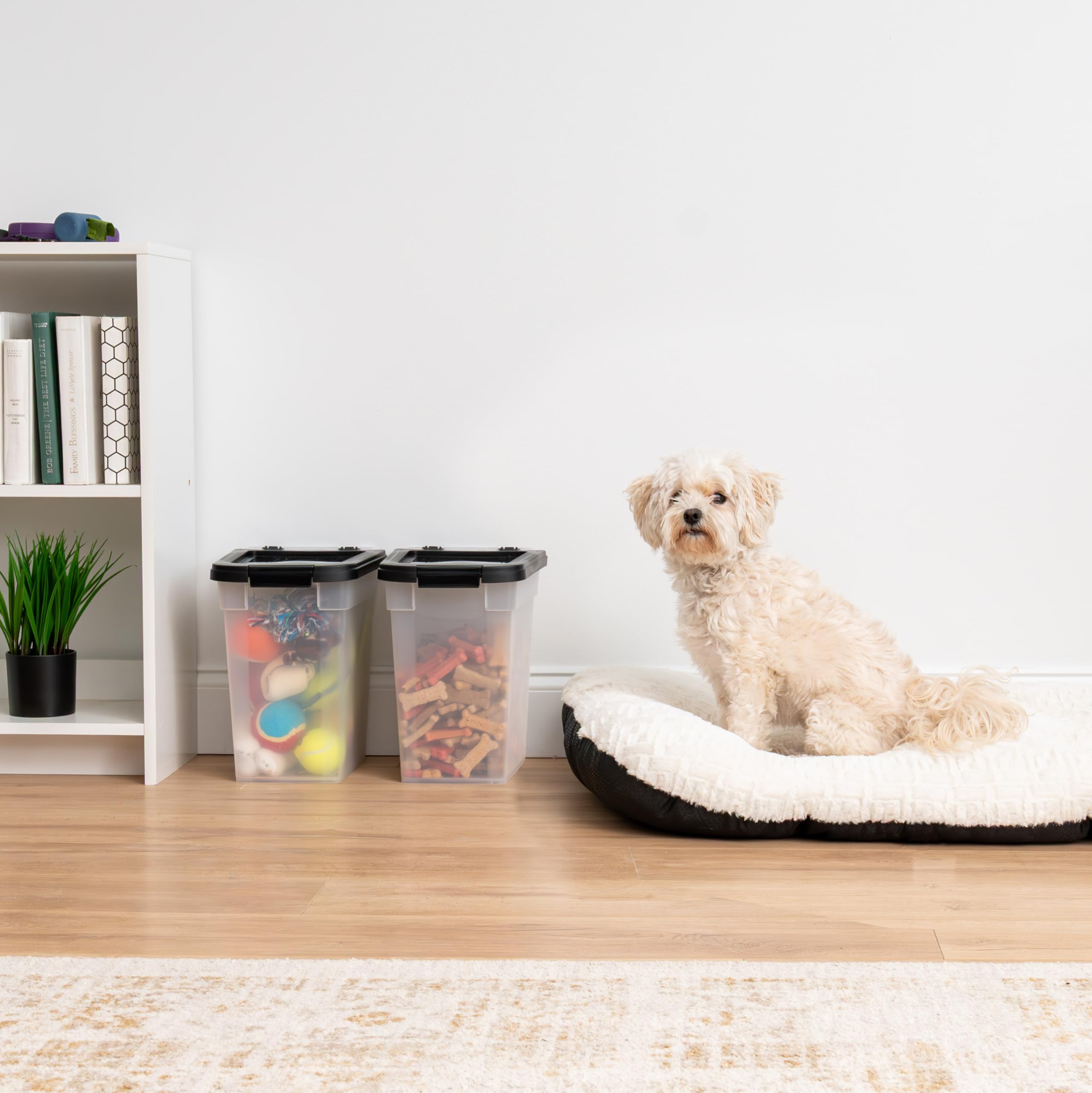 Versatile IRIS USA container for pellets, seeds, grains, or treats.