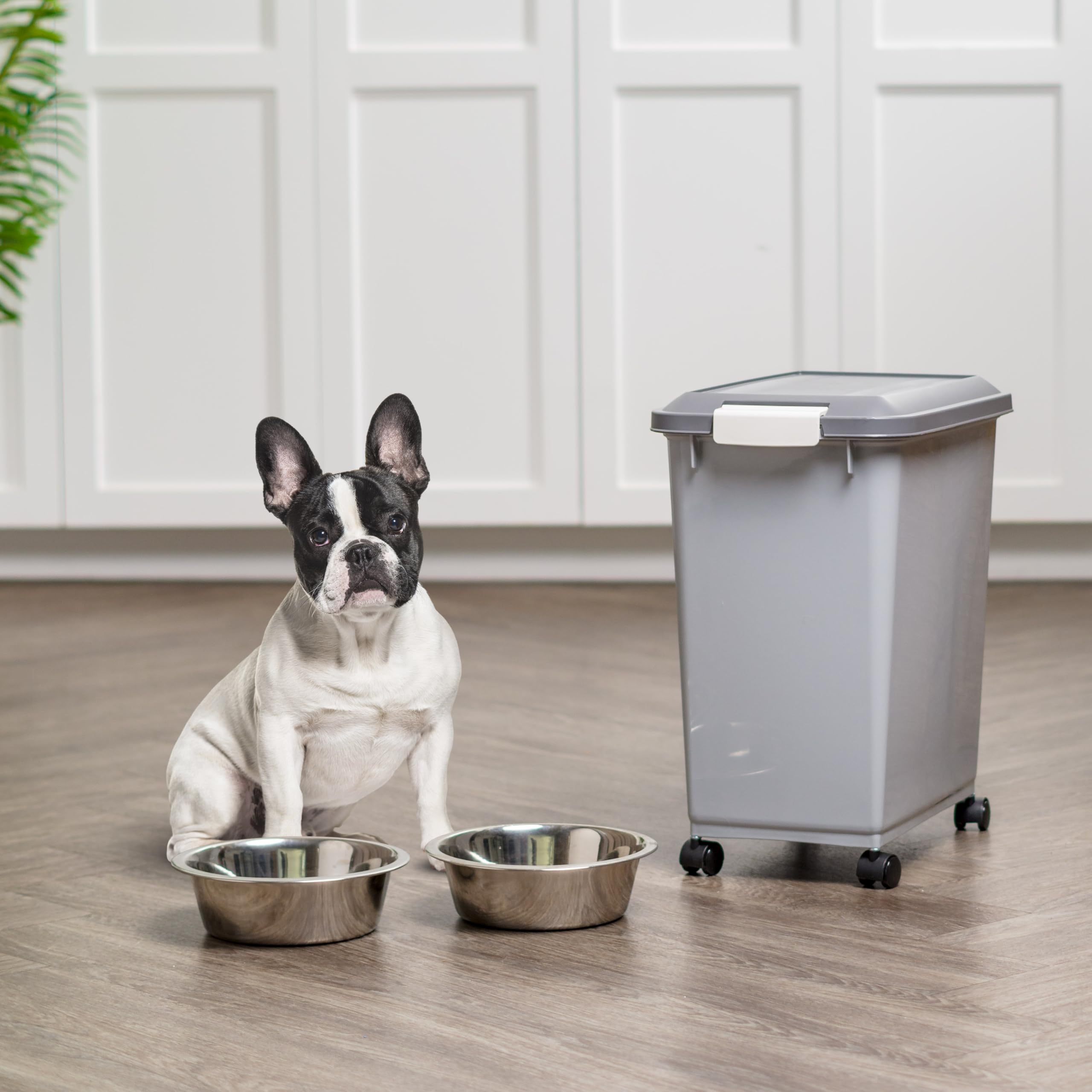 IRIS USA BPA-free container for safe home use.