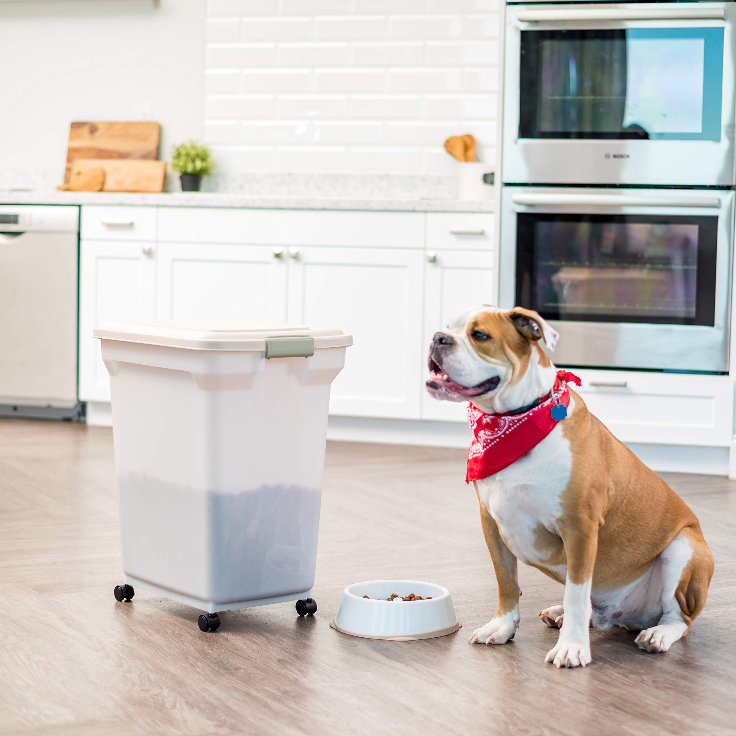 IRIS USA translucent bin lets you quickly check contents