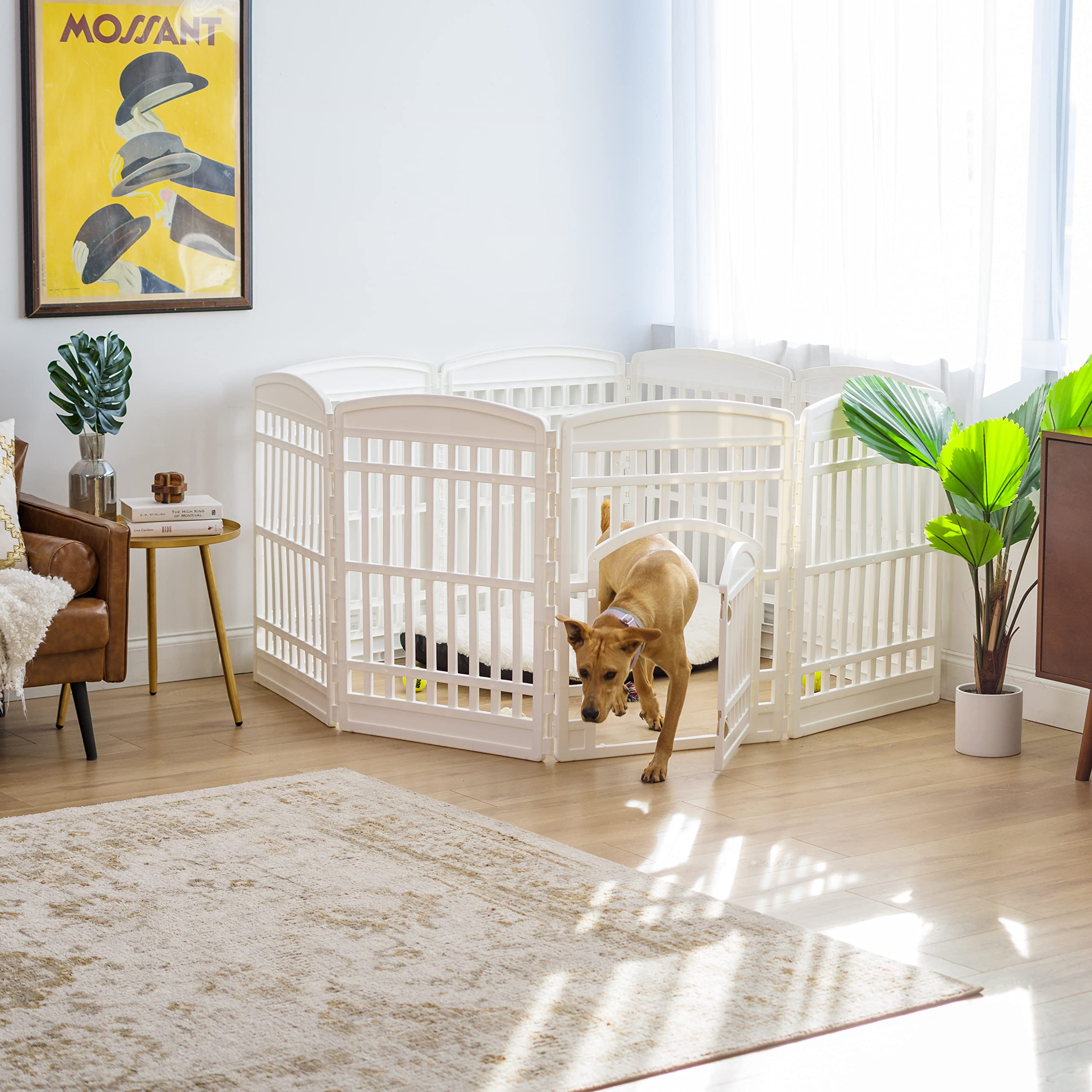 IRIS USA dog playpen extended space for calm play and exploration