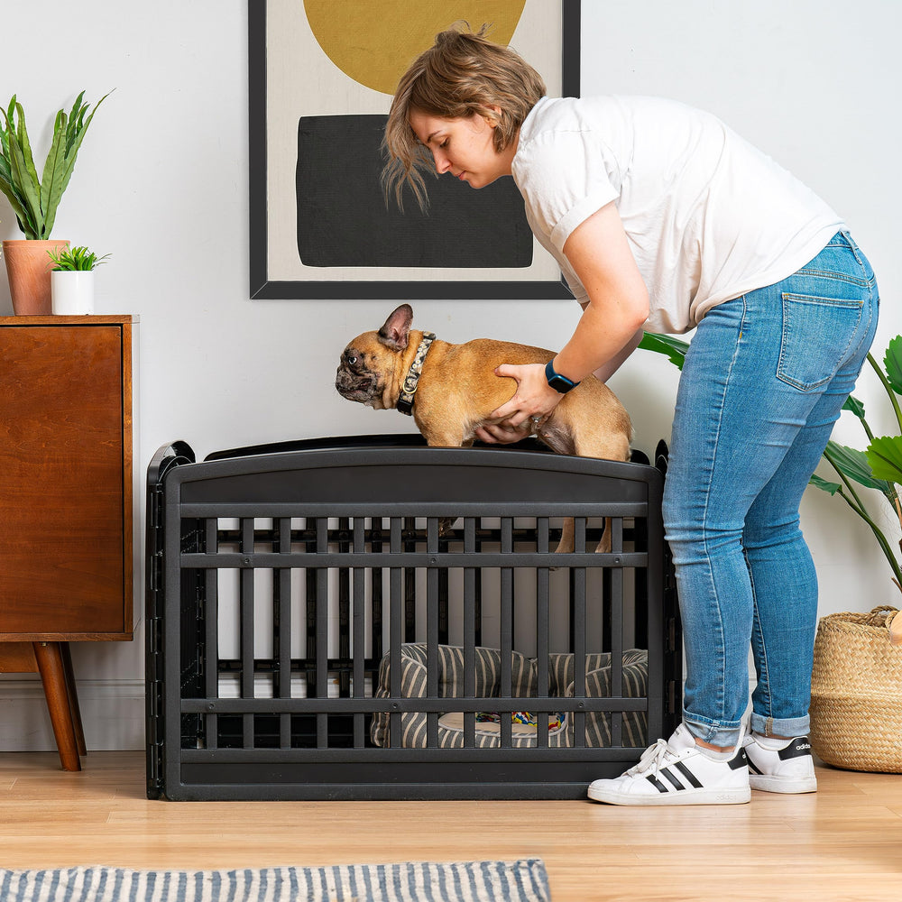 IRIS USA safe, spacious yard for Beagles and small breeds